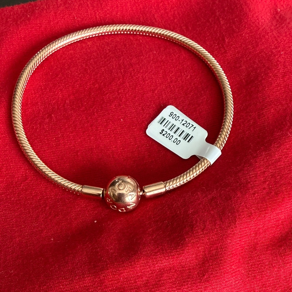 Pandora Rose Snake Bracelet